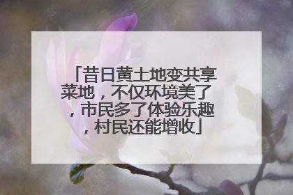 昔日黄土地变共享菜地，不仅环境美了，市民多了体验乐趣，村民还能增收