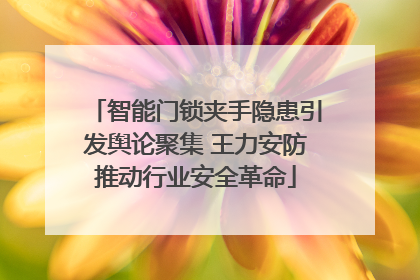 智能门锁夹手隐患引发舆论聚集 王力安防推动行业安全革命