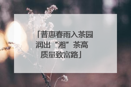 普惠春雨入茶园 润出“湘”茶高质量致富路