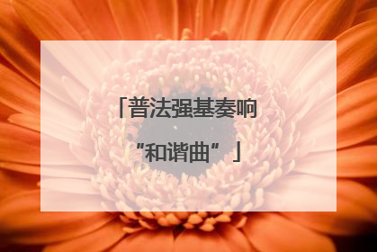 普法强基奏响“和谐曲”