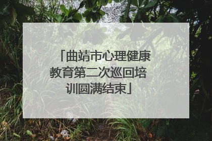 曲靖市心理健康教育第二次巡回培训圆满结束
