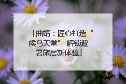 曲靖：匠心打造“候鸟天堂” 解锁避暑旅居新体验