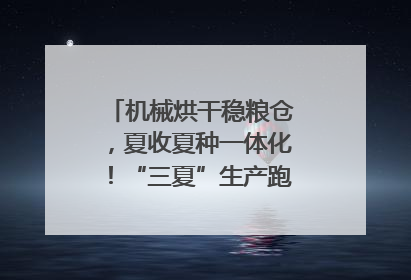 机械烘干稳粮仓，夏收夏种一体化！“三夏”生产跑出加速度｜麦报