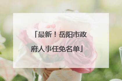 最新！岳阳市政府人事任免名单