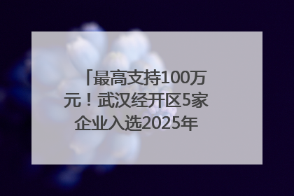 最高支持100万元！武汉经开区5家企业入选2025年度武汉市重点研发计划拟立项项目名单