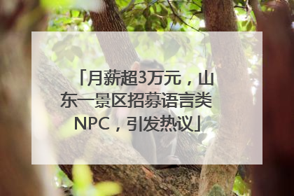 月薪超3万元，山东一景区招募语言类NPC，引发热议
