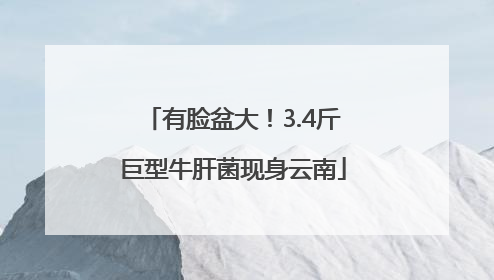 有脸盆大！3.4斤巨型牛肝菌现身云南