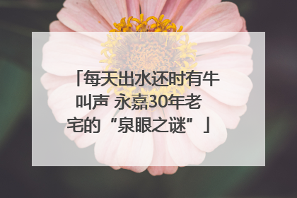 每天出水还时有牛叫声 永嘉30年老宅的“泉眼之谜”