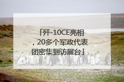 歼-10CE亮相，20多个军政代表团密集到访展台