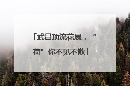 武昌顶流花展，“荷”你不见不散