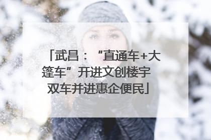 武昌：“直通车+大篷车”开进文创楼宇 双车并进惠企便民