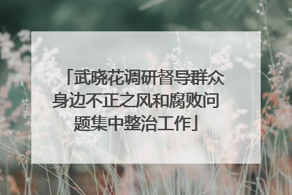 武晓花调研督导群众身边不正之风和腐败问题集中整治工作