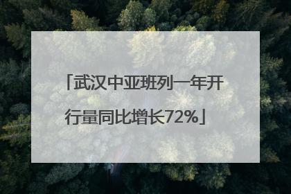 武汉中亚班列一年开行量同比增长72%