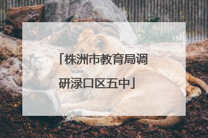 株洲市教育局调研渌口区五中