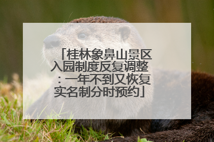 桂林象鼻山景区入园制度反复调整：一年不到又恢复实名制分时预约