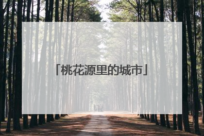 桃花源里的城市