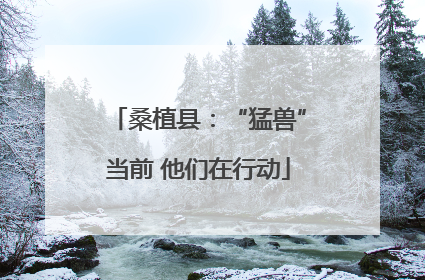 桑植县：“猛兽”当前 他们在行动