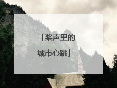 桨声里的城市心跳