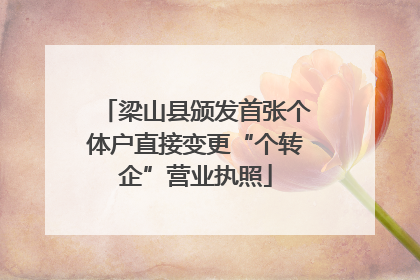 梁山县颁发首张个体户直接变更“个转企”营业执照