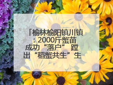 榆林榆阳镇川镇：2000斤蟹苗成功“落户” 蹚出“稻蟹共生”生态种养新路径