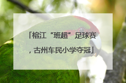 榕江“班超”足球赛，古州车民小学夺冠