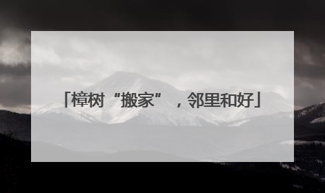 樟树“搬家”，邻里和好