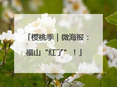 樱桃季｜微海报：福山“红了”！