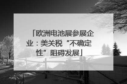 欧洲电池展参展企业：美关税“不确定性”阻碍发展