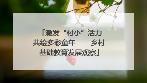 激发“村小”活力 共绘多彩童年——乡村基础教育发展观察