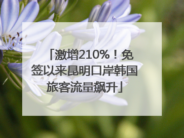 激增210%！免签以来昆明口岸韩国旅客流量飙升