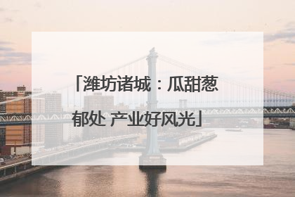 潍坊诸城：瓜甜葱郁处 产业好风光