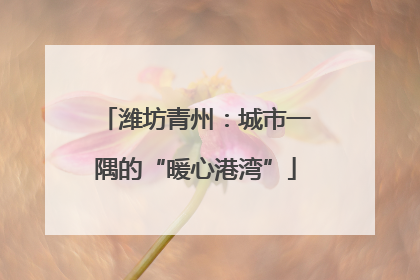 潍坊青州：城市一隅的“暖心港湾”