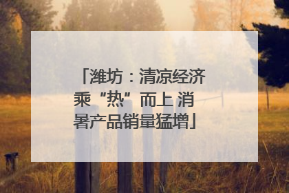 潍坊：清凉经济乘“热”而上 消暑产品销量猛增