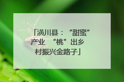 潢川县：“甜蜜”产业  “桃”出乡村振兴金路子