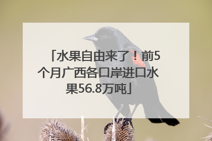 水果自由来了！前5个月广西各口岸进口水果56.8万吨