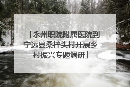 永州职院附属医院到宁远县桑梓头村开展乡村振兴专题调研