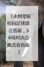 永州零陵校园足球盛会落幕，36场对决点燃青春热血