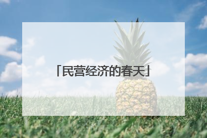 民营经济的春天