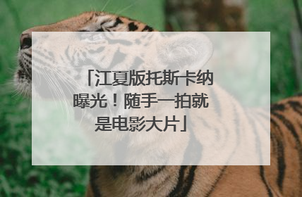 江夏版托斯卡纳曝光！随手一拍就是电影大片