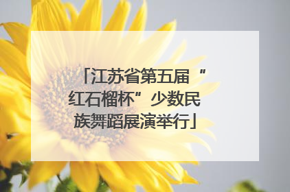 江苏省第五届“红石榴杯”少数民族舞蹈展演举行