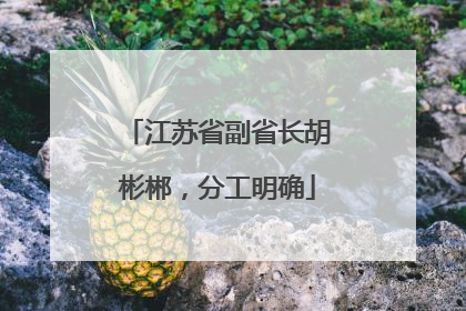 江苏省副省长胡彬郴，分工明确