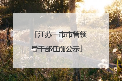 江苏一市市管领导干部任前公示