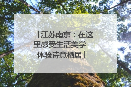 江苏南京：在这里感受生活美学 体验诗意栖居