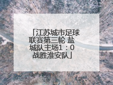 江苏城市足球联赛第三轮 盐城队主场1：0战胜淮安队