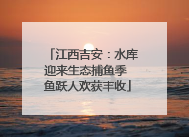 江西吉安：水库迎来生态捕鱼季 鱼跃人欢获丰收