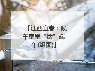 江西宜春：候车室里“话”端午(组图)