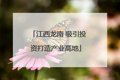 江西龙南 吸引投资打造产业高地