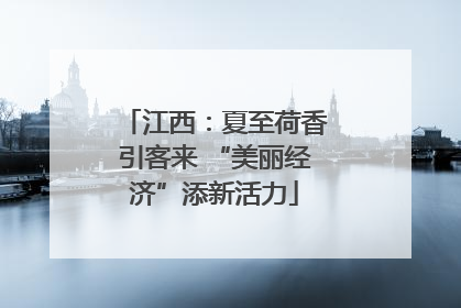 江西：夏至荷香引客来 “美丽经济”添新活力