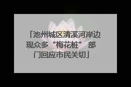池州城区清溪河岸边现众多“梅花桩” 部门回应市民关切