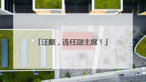 汪顺，连任副主席！